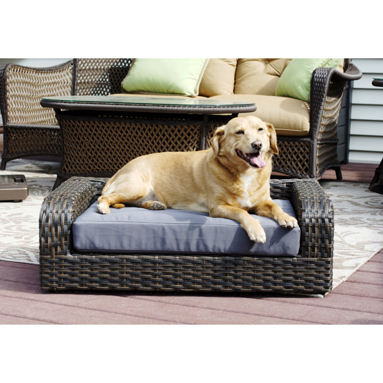 Outdoor shop dog sofa